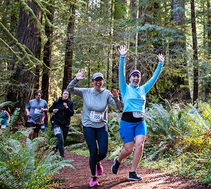 A participant in a blue top embarks on a 5k run through a sunlit forest, surrounded by the monumental and ancient redwoods, with the path ahead shaded and inviting, capturing the essence of outdoor adventure and the majesty of the redwoods.