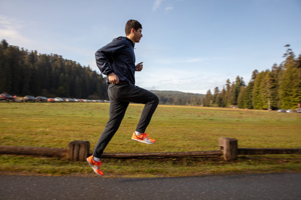 Run in the Redwoods 5k | Redwood Parks Conservancy
