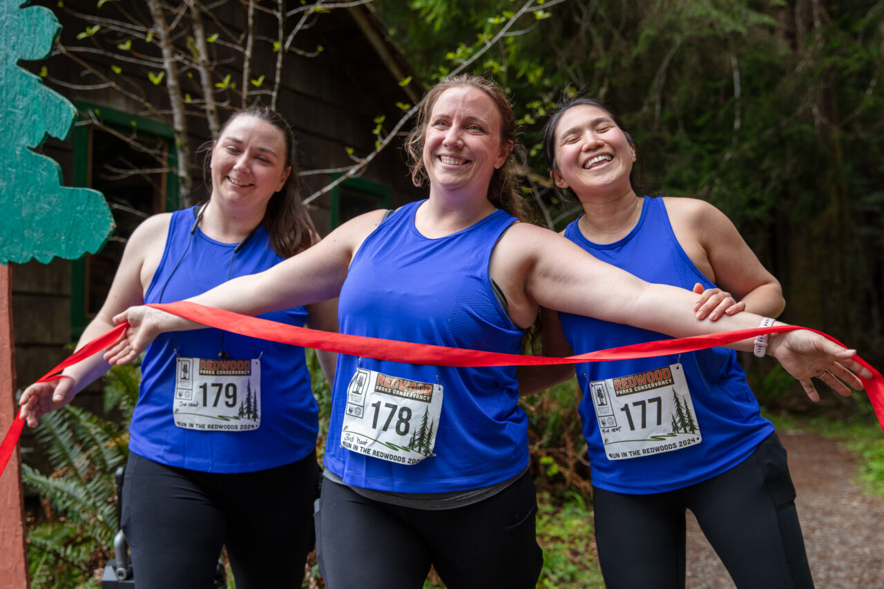 Run in the Redwoods 5k | Redwood Parks Conservancy