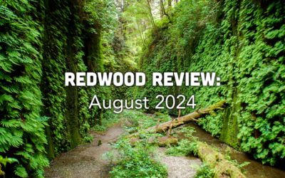 Redwood Review: August 2024