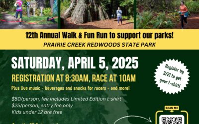 Run in the Redwoods 5k returns Saturday, April 5th, 2025