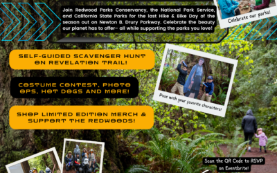 Free May the Forest Be with You Festival returns to Prairie Creek SP on May 3rd