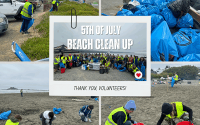 Over One Ton of Trash Removed Thanks to Community Power