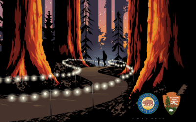 36th Annual Candlelight Walk Returns to Redwood National & State Parks Nov. 7 & 8, 2025