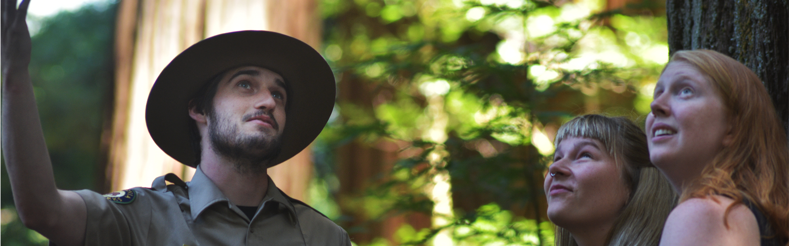 Group of hikers in a forest observing a man examining ferns and mushrooms along the trail.