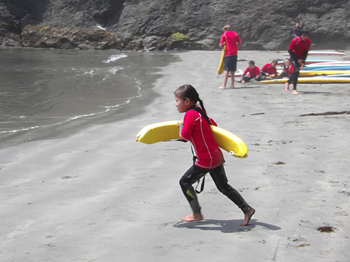 redwoods illustration