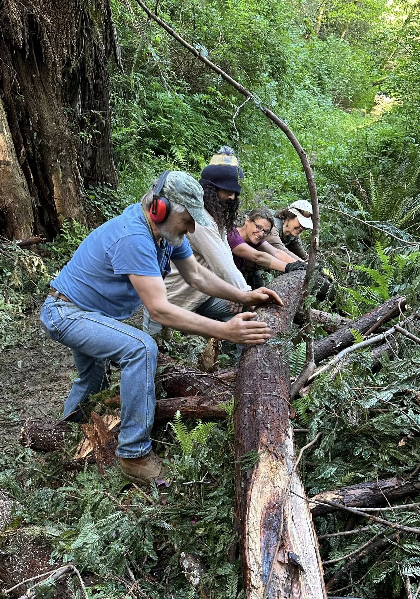 Construction workers in yellow vests repair a bridge in the woods, part of a project to enhance park infrastructure and access.