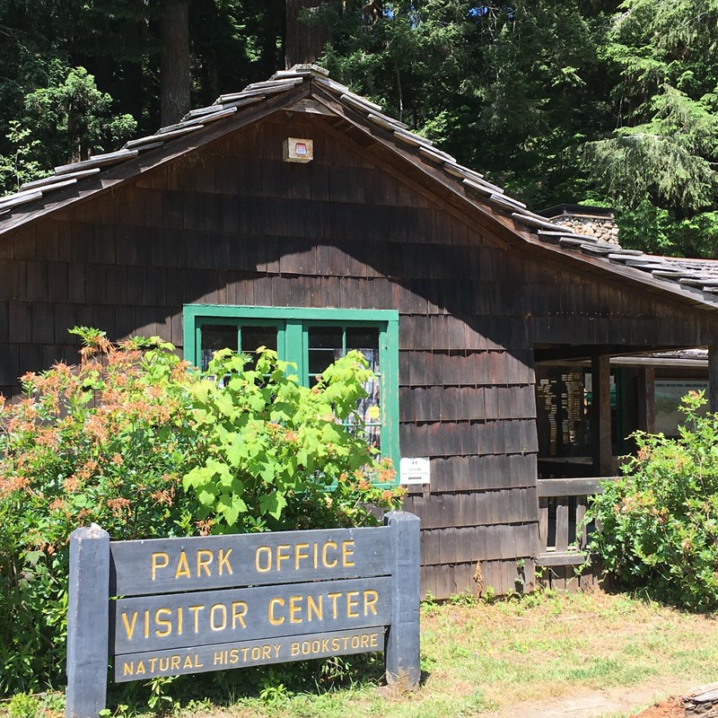 A serene landscape at Tolowa Dunes State Park, with tranquil waters reflecting a partly cloudy sky, bordered by a lush forest and a field of dry reeds, punctuated by smooth rocks near the water's edge.