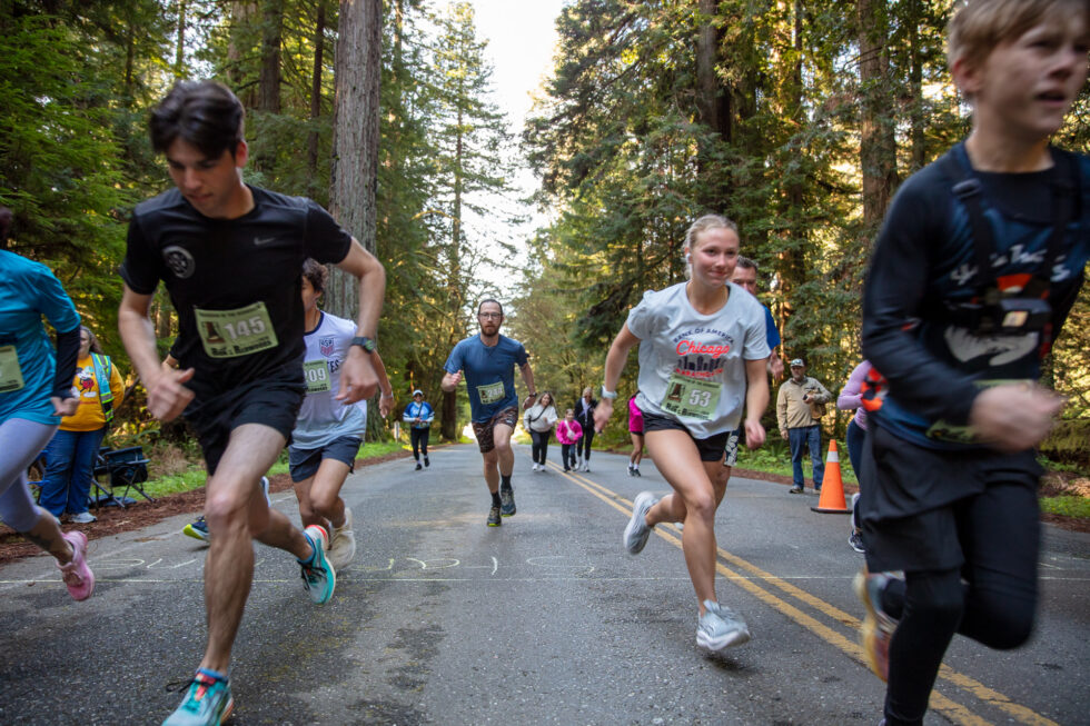 Run in the Redwoods 5k | Redwood Parks Conservancy