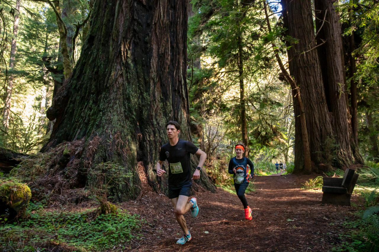 Run in the Redwoods 5k | Redwood Parks Conservancy