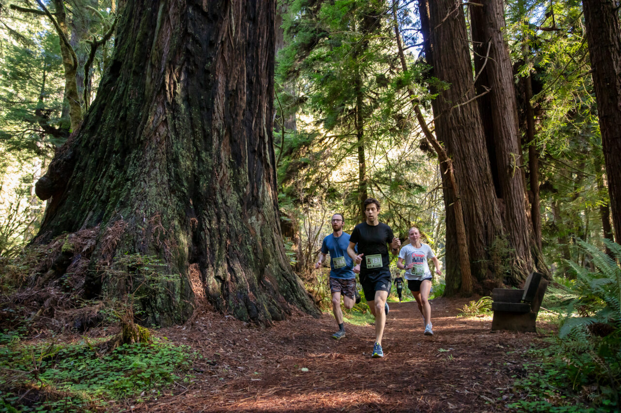 Run in the Redwoods 5k | Redwood Parks Conservancy
