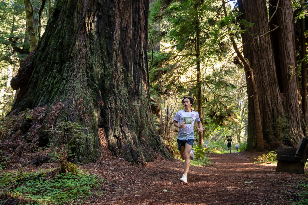 Run in the Redwoods 5k | Redwood Parks Conservancy