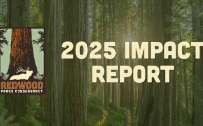 Your Impact in the Redwoods: 2025 by the Numbers