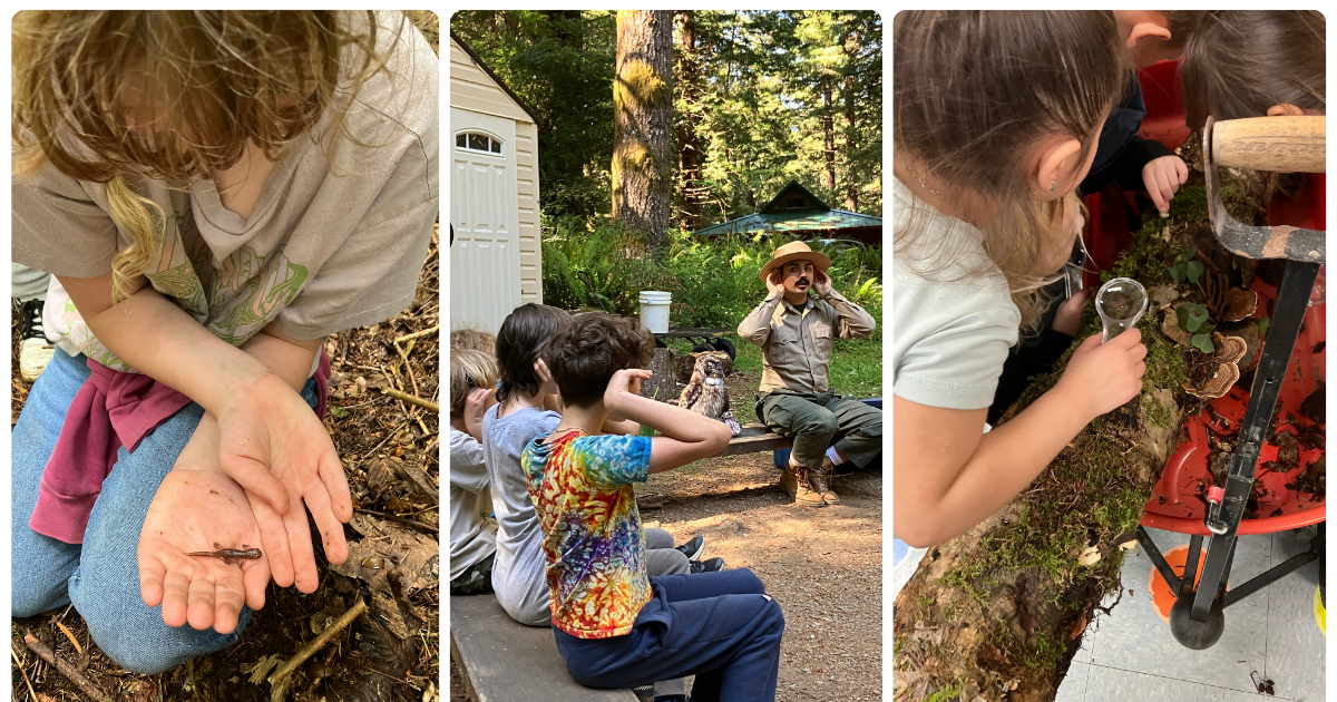 Connections made with the natural world thanks to Howland Hill Outdoor School And Wolf Creek Outdoor Education Center. Photos courtesy of RPC.