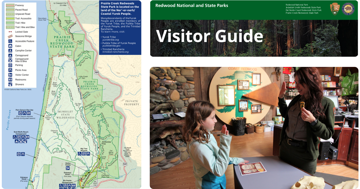 Visitor guides, offical park maps and Junior Ranger materials play a major role in visitor experiences. Images courtesy of Redwood National and State Parks.