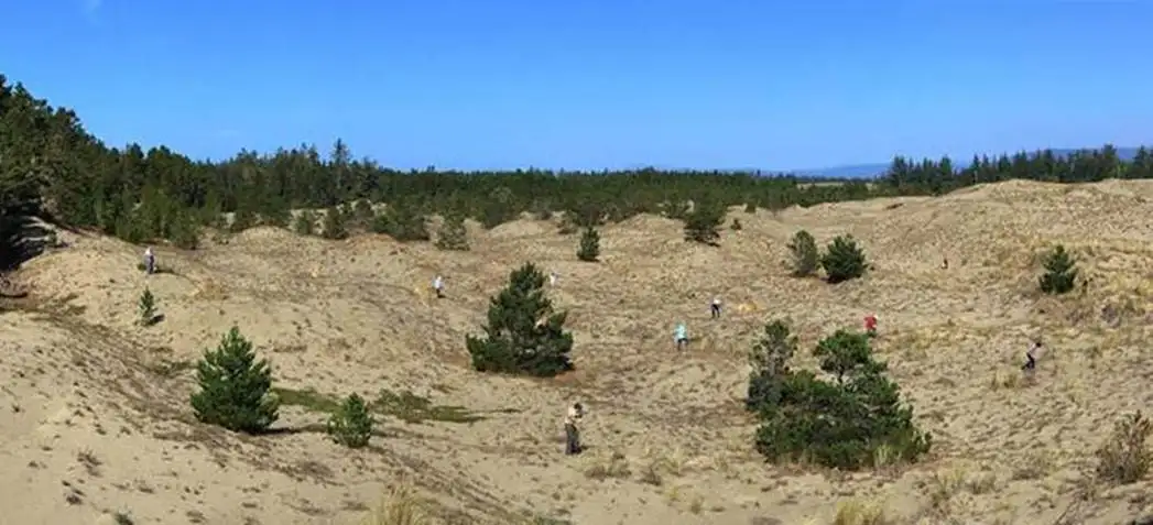 TDS Big Dune